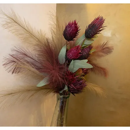 Aix La Chapelle, Exclusive Apartments, Wellness And More, * Aken