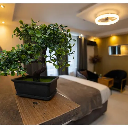 酒店 Aix La Chapelle, Exclusive Apartments, Wellness And More,