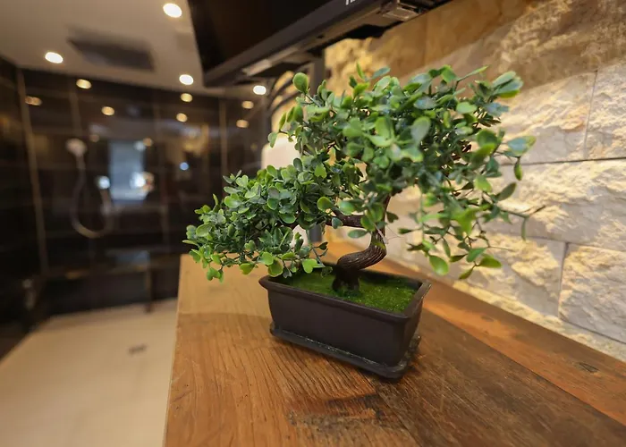 Aix La Chapelle, Exclusive Apartments, Wellness And More, *