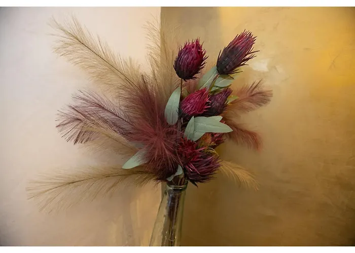 Aix La Chapelle, Exclusive Apartments, Wellness And More, * 亚琛